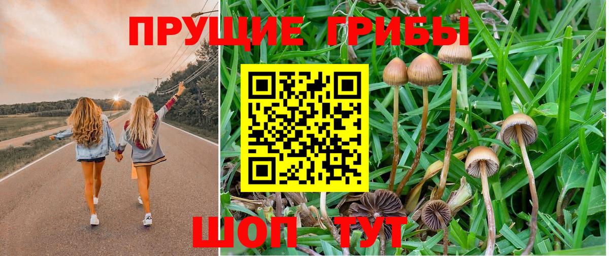 Кубинка  Галлюциногенные грибы прущие грибы  Вход с VPN 