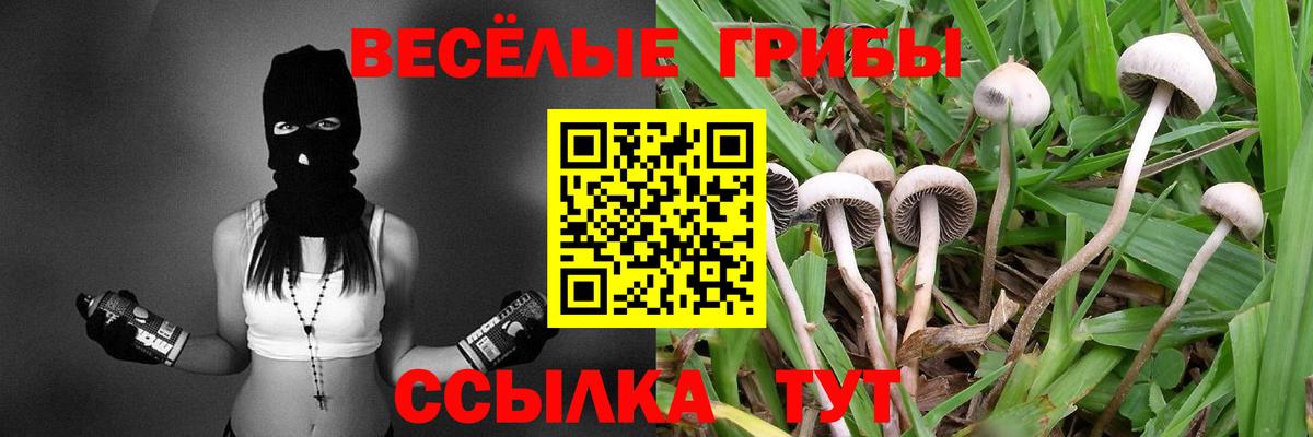 Псилоцибиновые грибы прущие грибы Кубинка